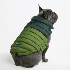 PuffShield Winter Jacket - Green