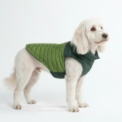 PuffShield Winter Jacket - Green