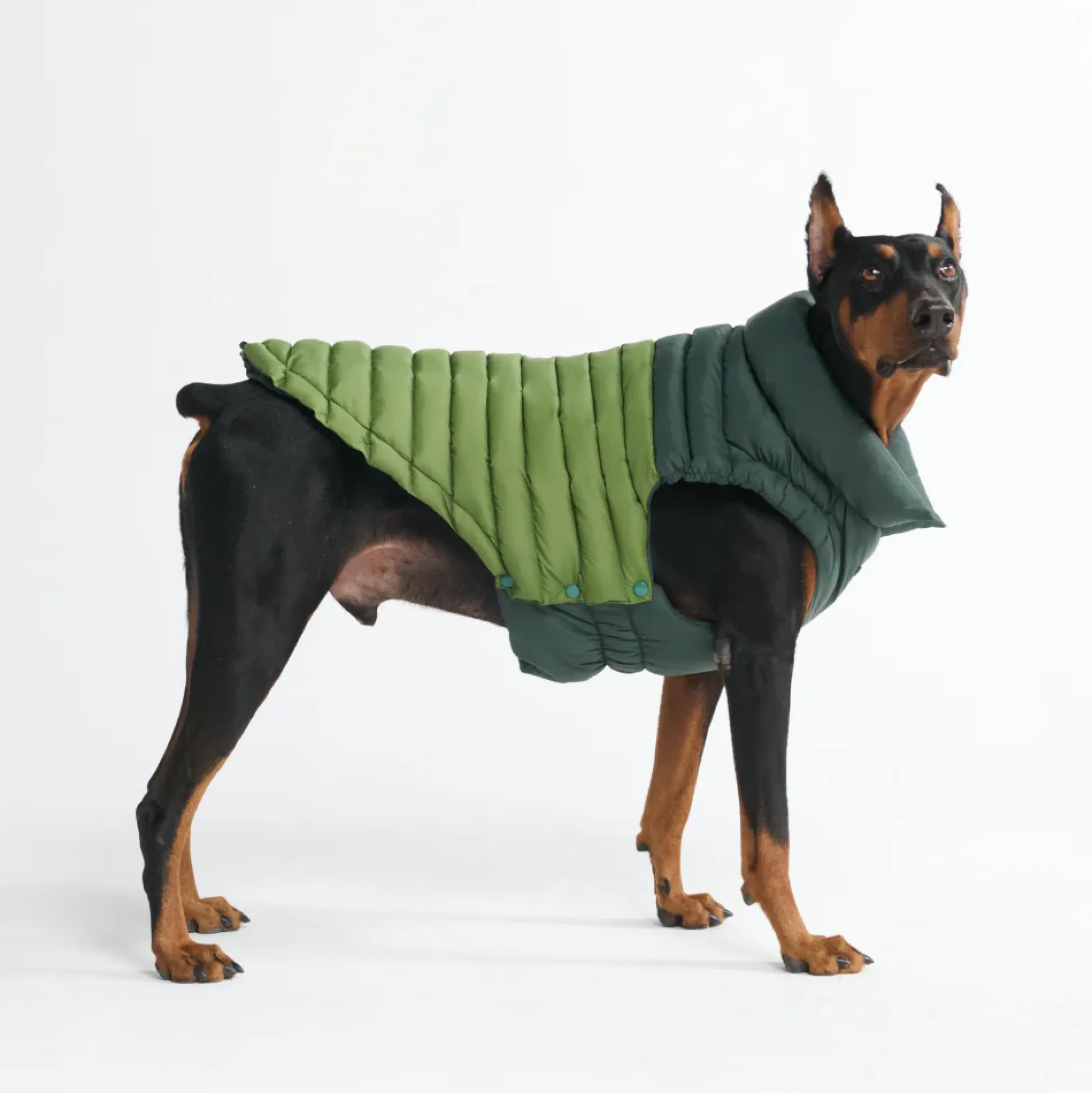 PuffShield Winter Jacket - Green