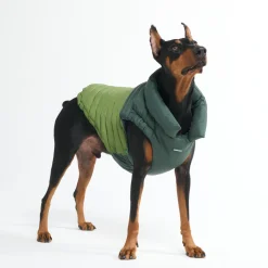 PuffShield Winter Jacket - Green