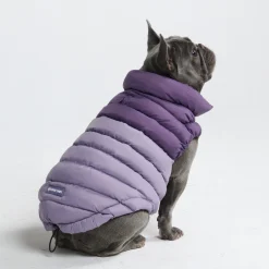 PuffShield Winter Jacket - Purple