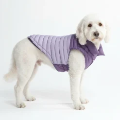 PuffShield Winter Jacket - Purple