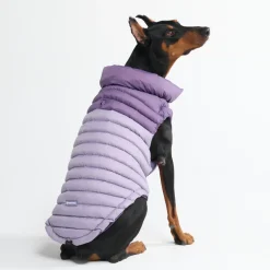 PuffShield Winter Jacket - Purple