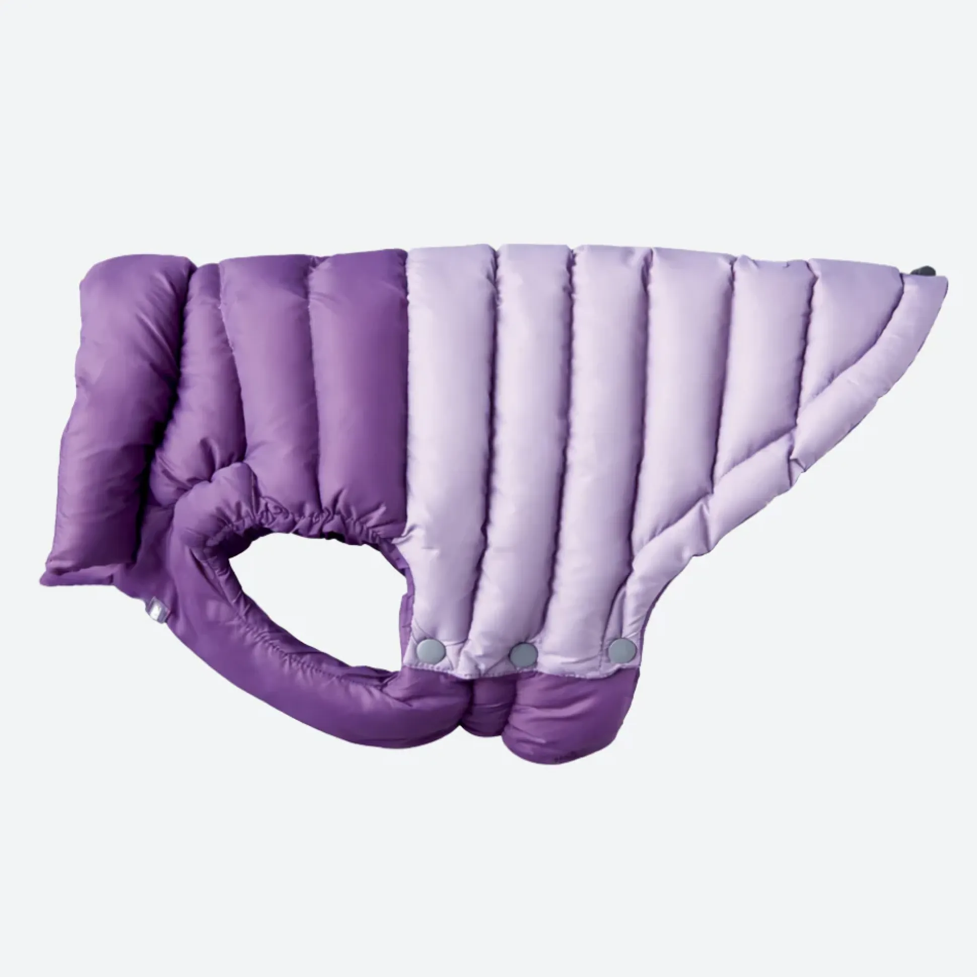 PuffShield Winter Jacket - Purple