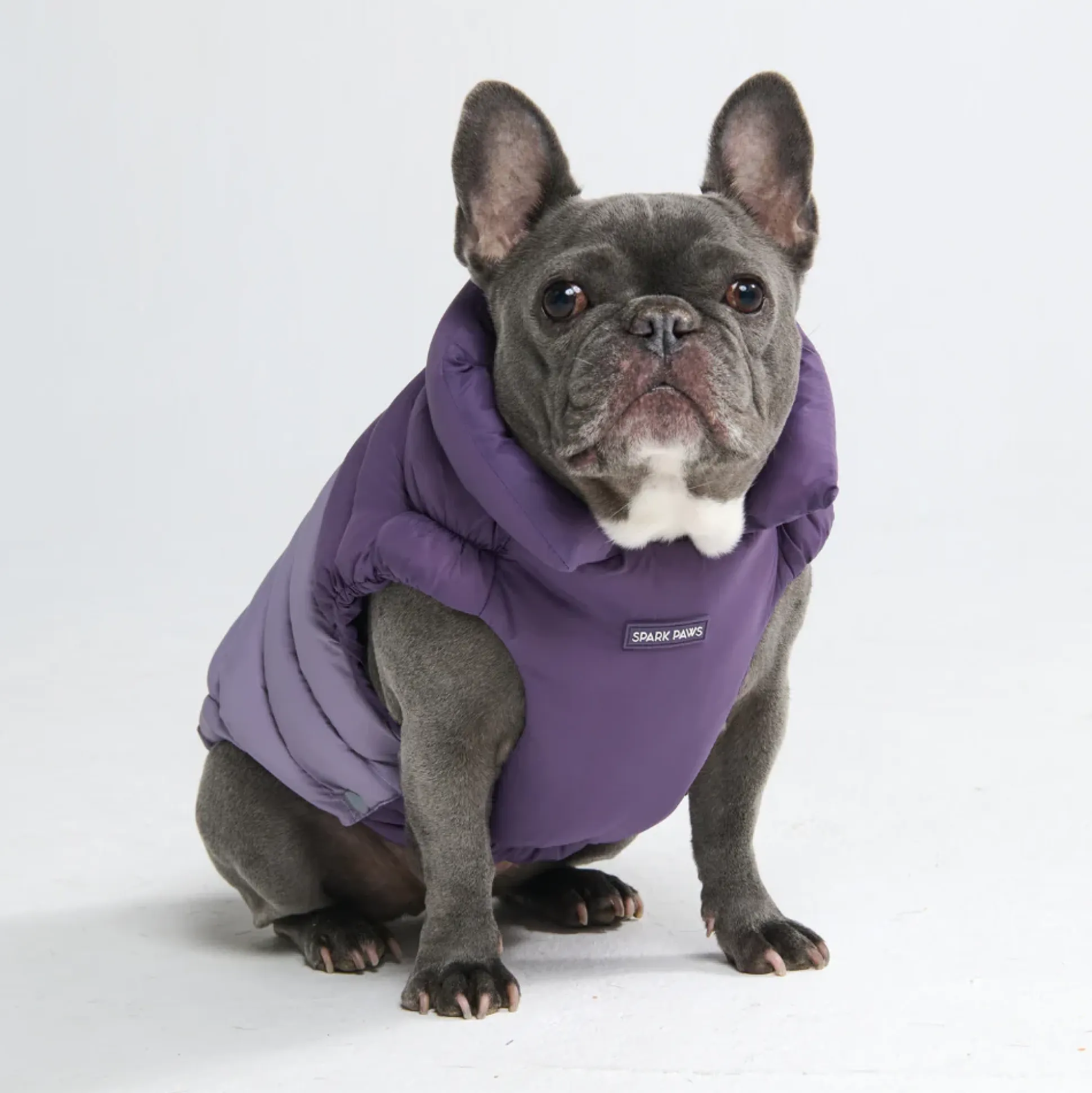 PuffShield Winter Jacket - Purple