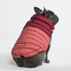 PuffShield Winter Jacket - Red