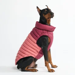 PuffShield Winter Jacket - Red