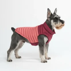 PuffShield Winter Jacket - Red