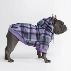 Purple Plaid Dog Hoodie