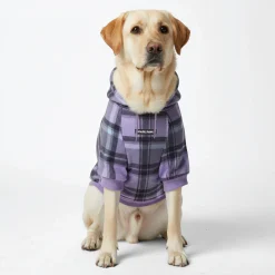 Purple Plaid Dog Hoodie