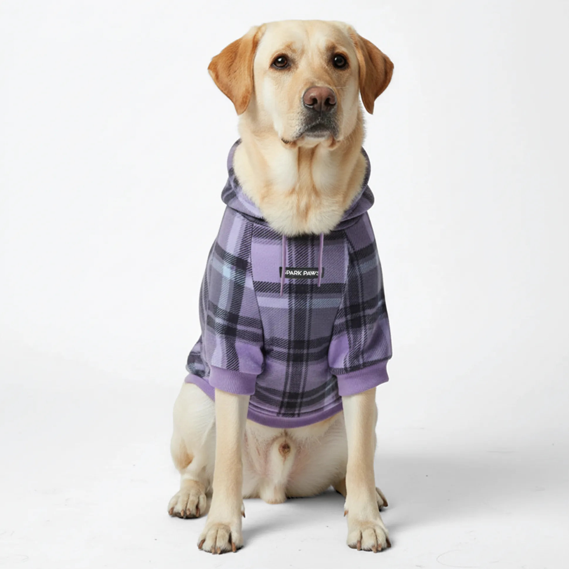 Purple Plaid Dog Hoodie