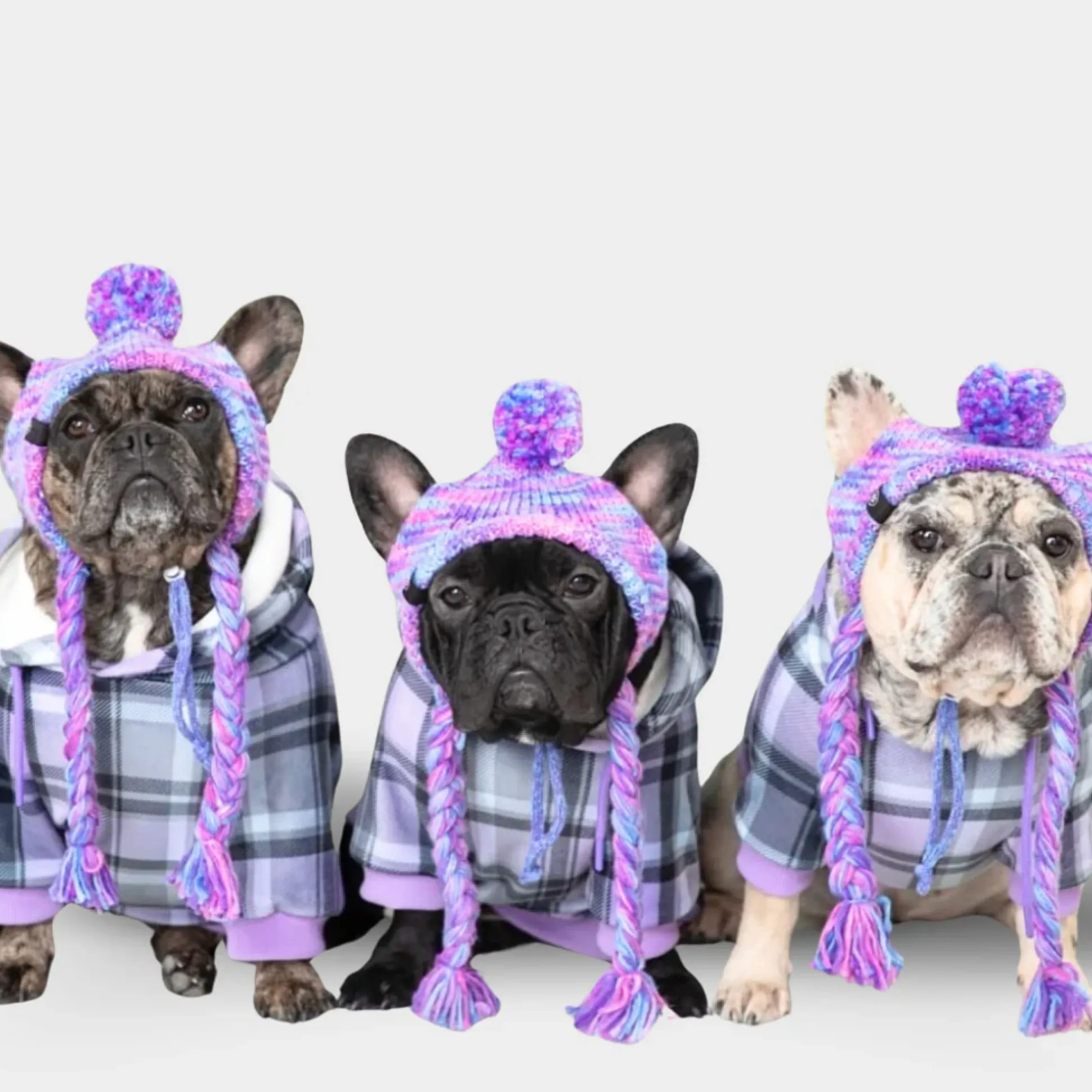 Purple Plaid Dog Hoodie