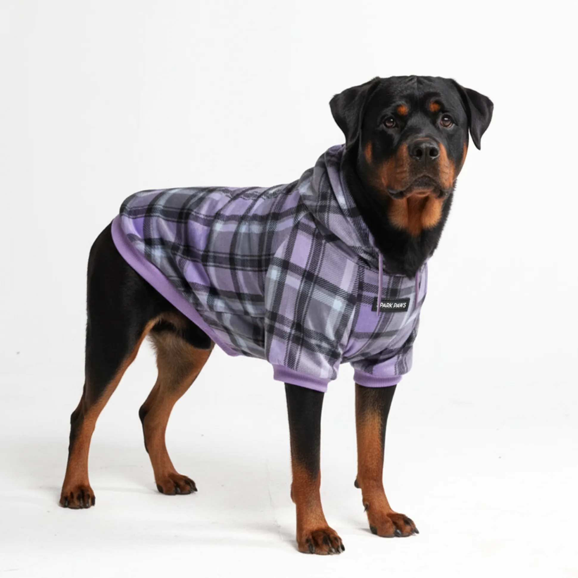 Purple Plaid Dog Hoodie