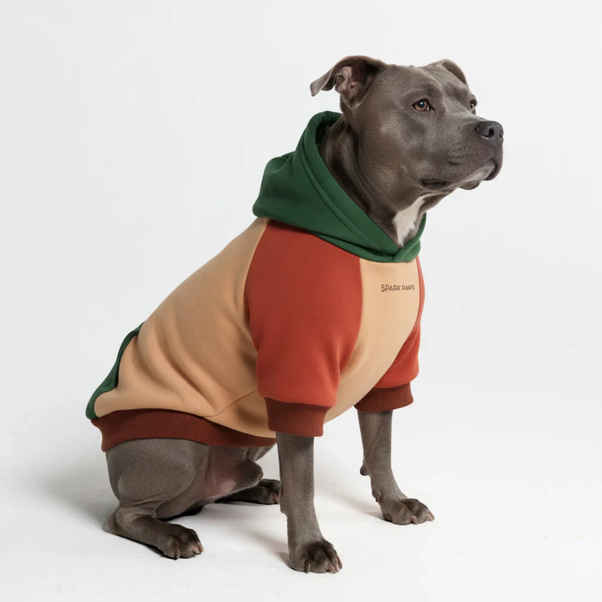 Ranger Dog Hoodie