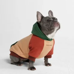Ranger Dog Hoodie