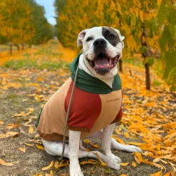 Ranger Dog Hoodie