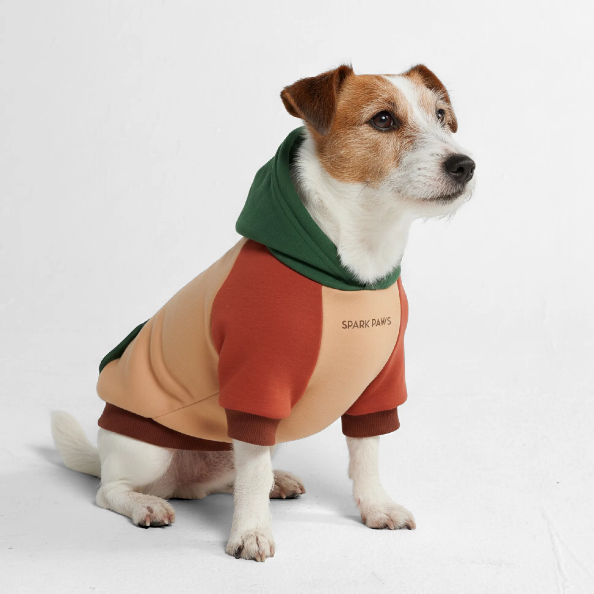 Ranger Dog Hoodie