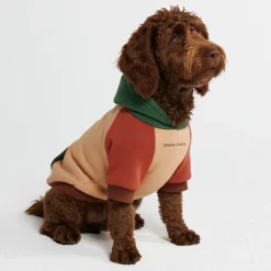 Ranger Dog Hoodie