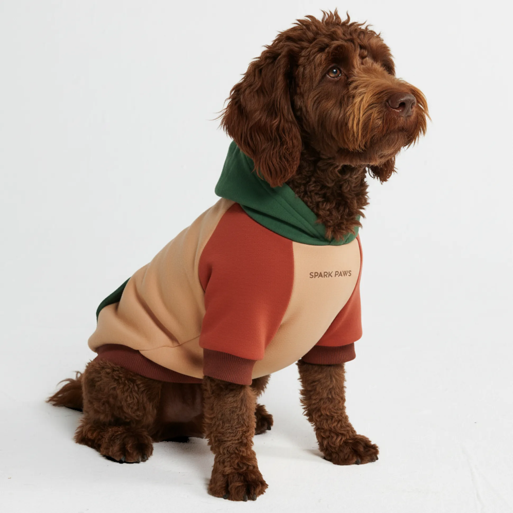 Ranger Dog Hoodie