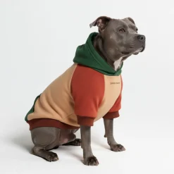 Ranger Dog Hoodie