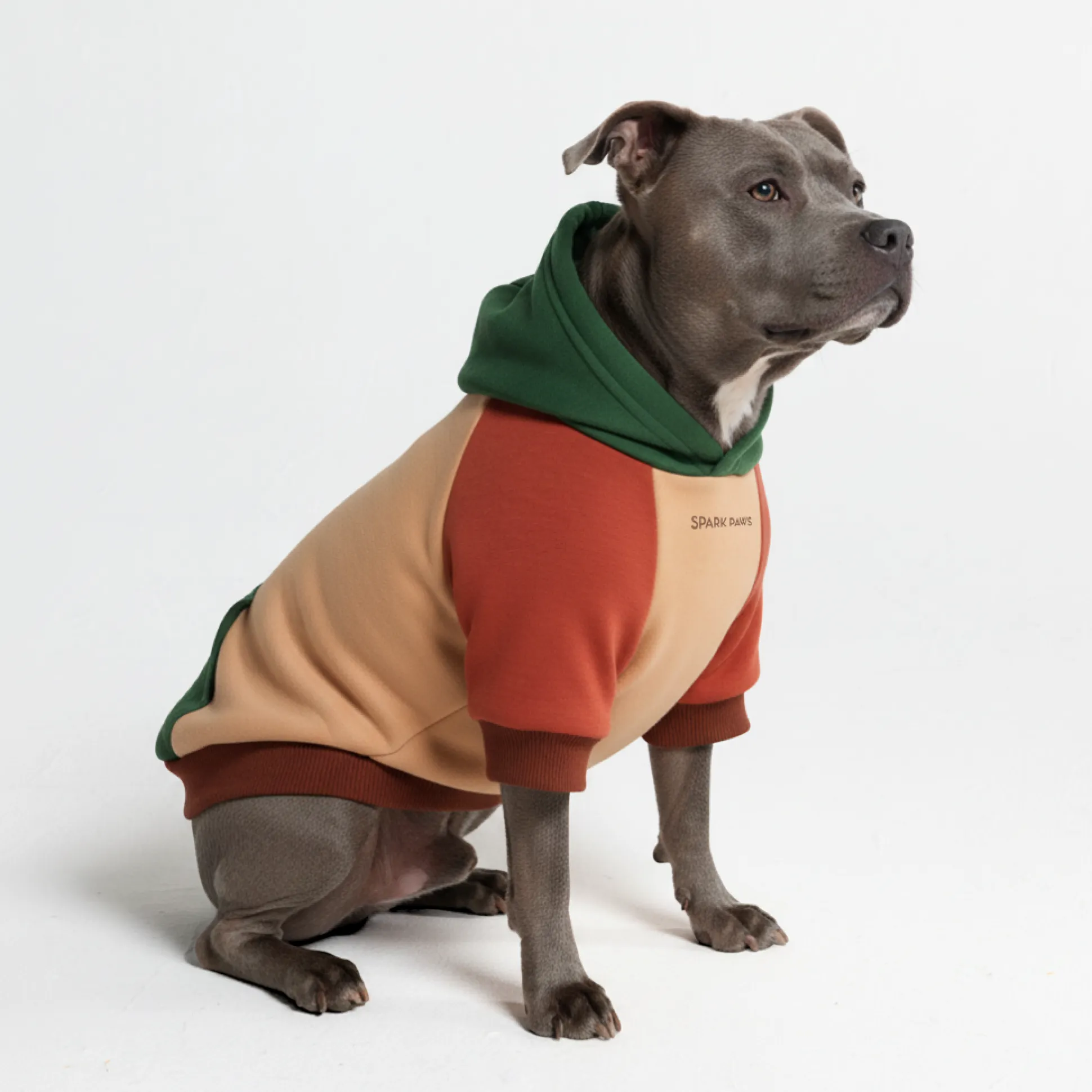 Ranger Dog Hoodie