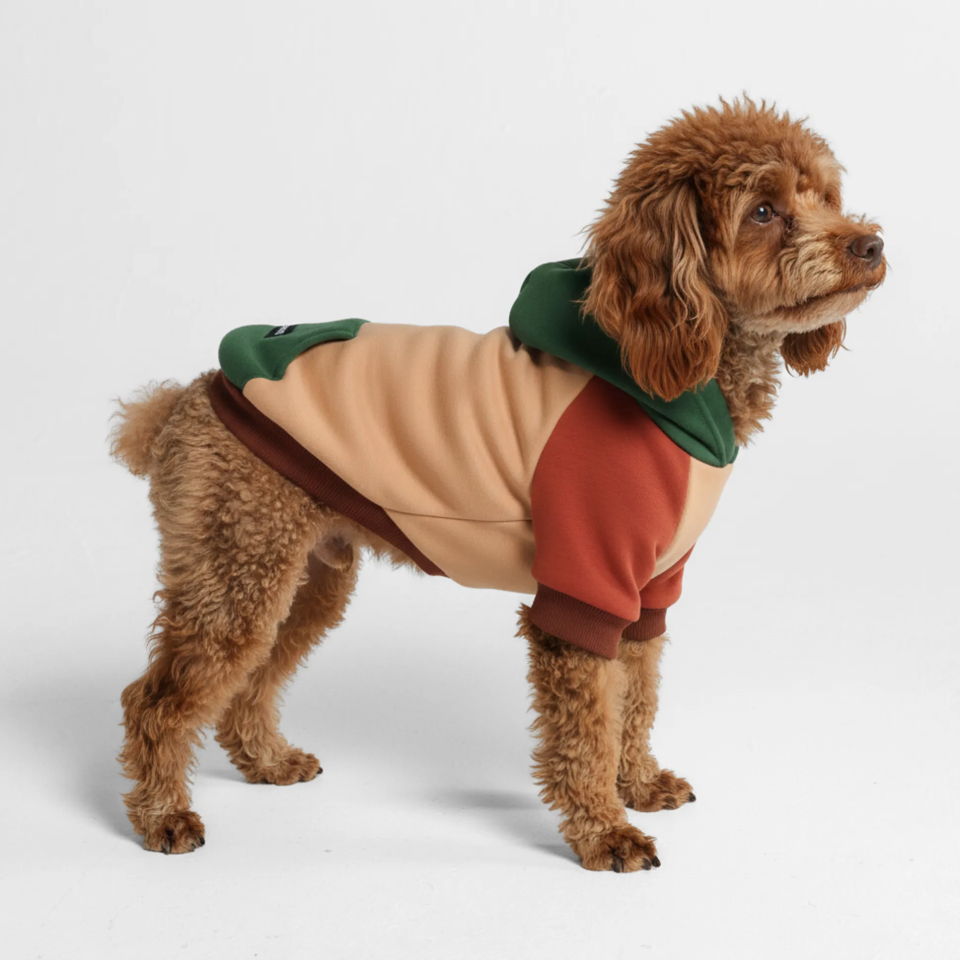 Ranger Dog Hoodie