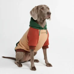 Ranger Dog Hoodie