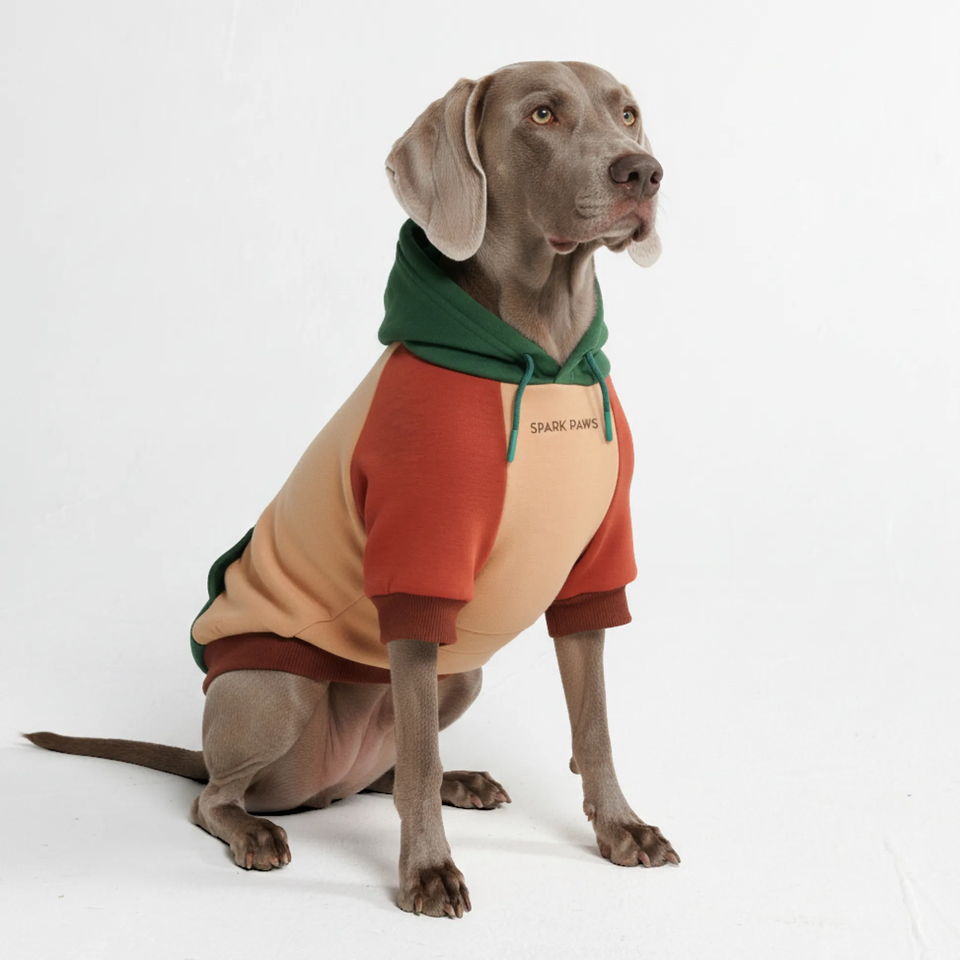 Ranger Dog Hoodie