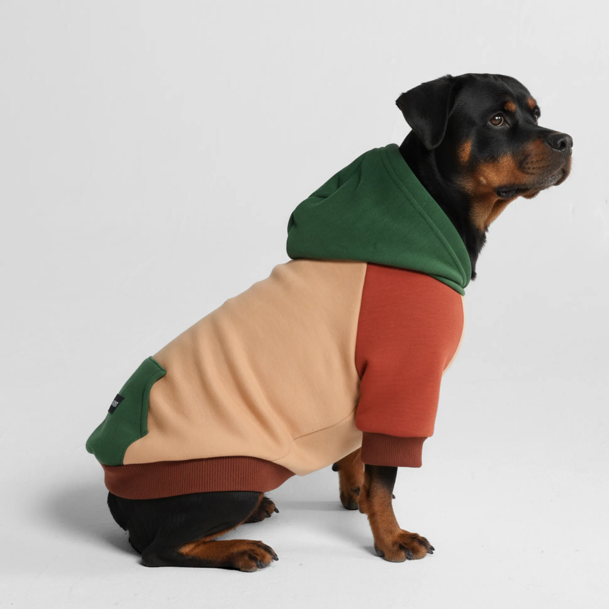Ranger Dog Hoodie