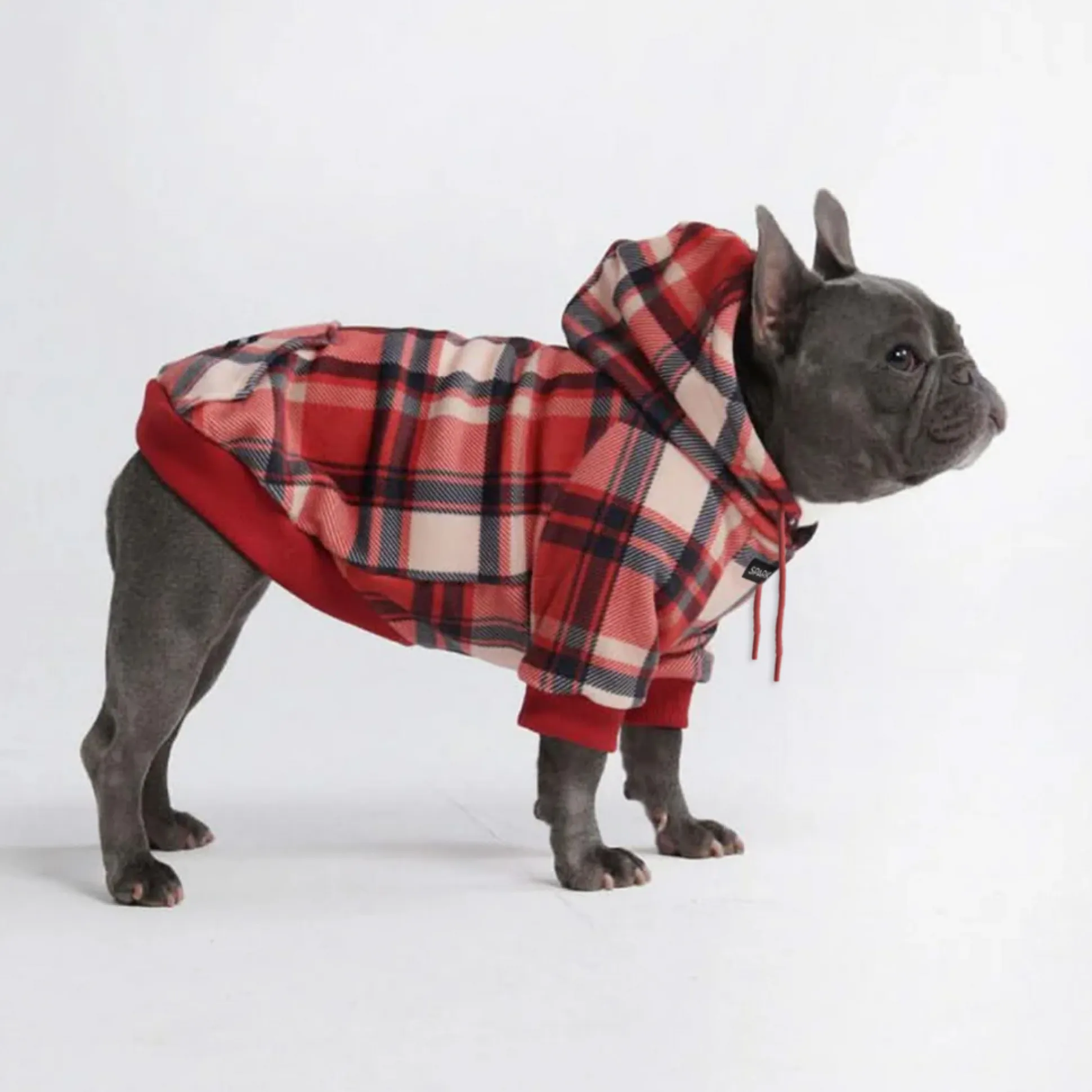 Red Plaid Dog Hoodie