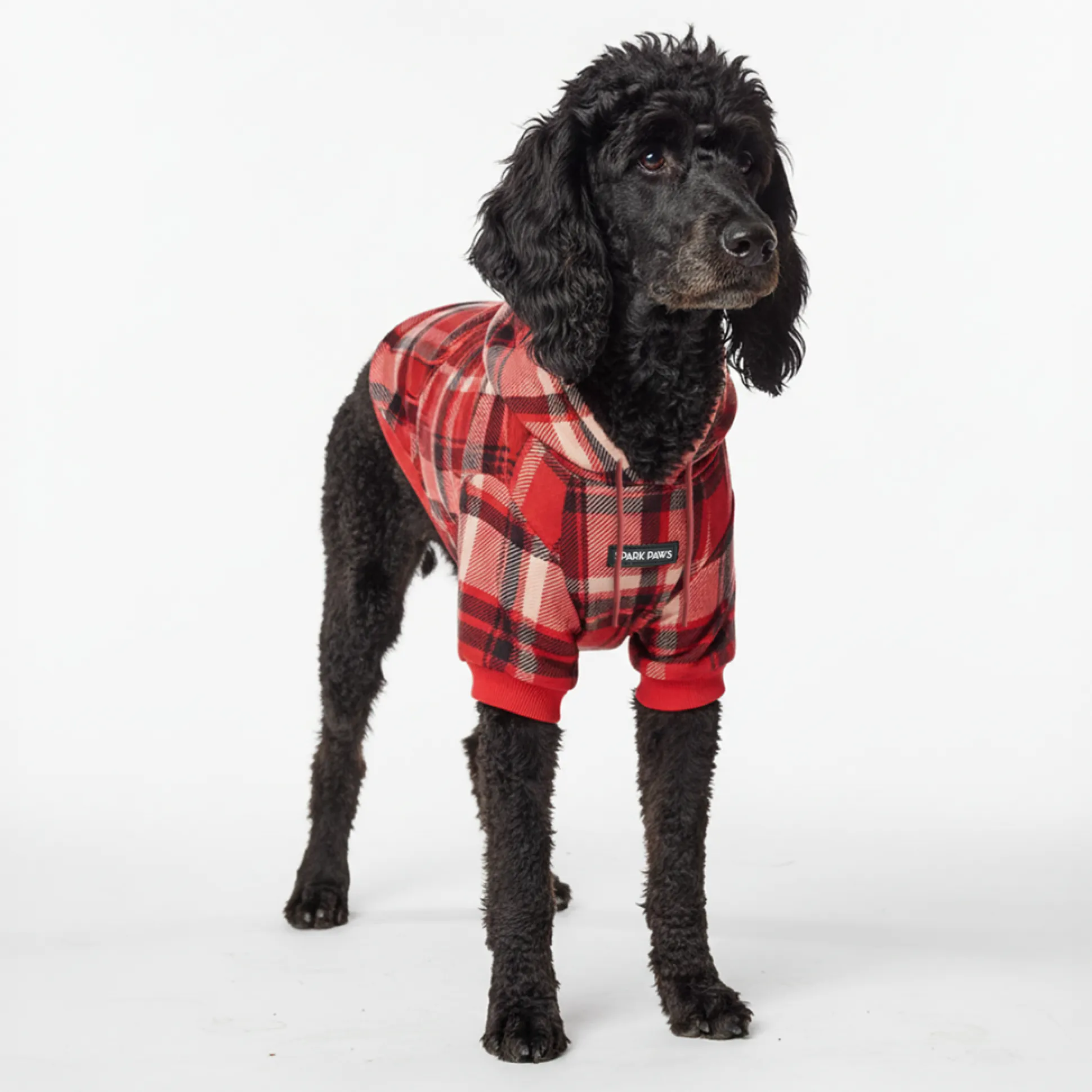 Red Plaid Dog Hoodie