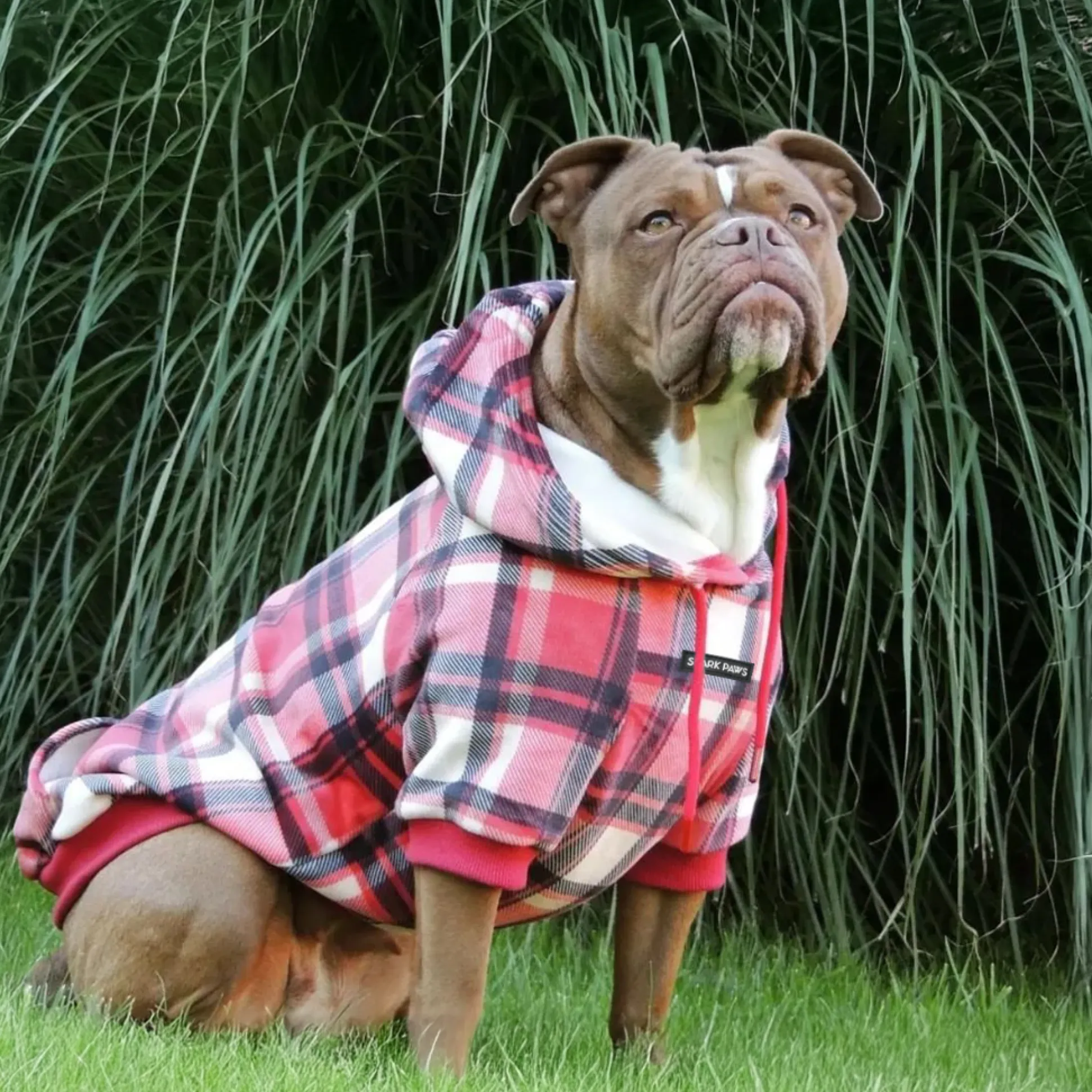 Red Plaid Dog Hoodie
