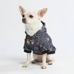 Rock and Roll Dog Hoodie