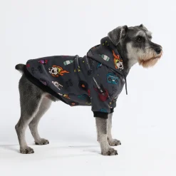 Rock and Roll Dog Hoodie