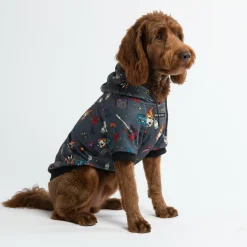 Rock and Roll Dog Hoodie