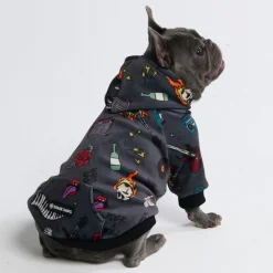 Rock and Roll Dog Hoodie