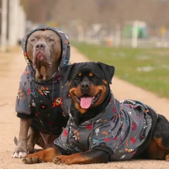 Rock and Roll Dog Hoodie