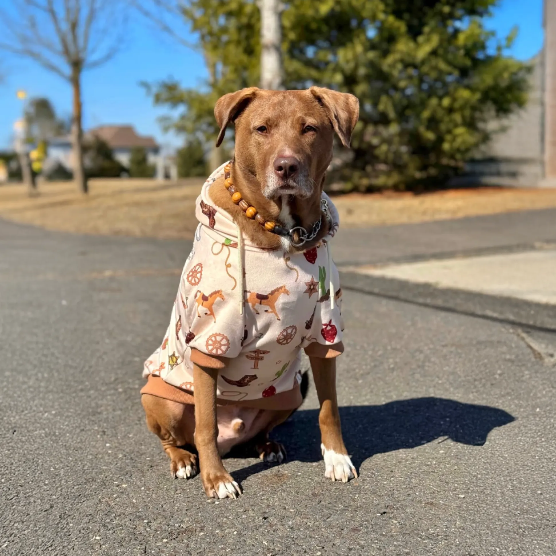 Rodeo Dog Hoodie