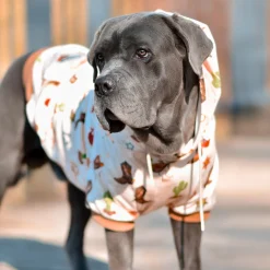 Rodeo Dog Hoodie