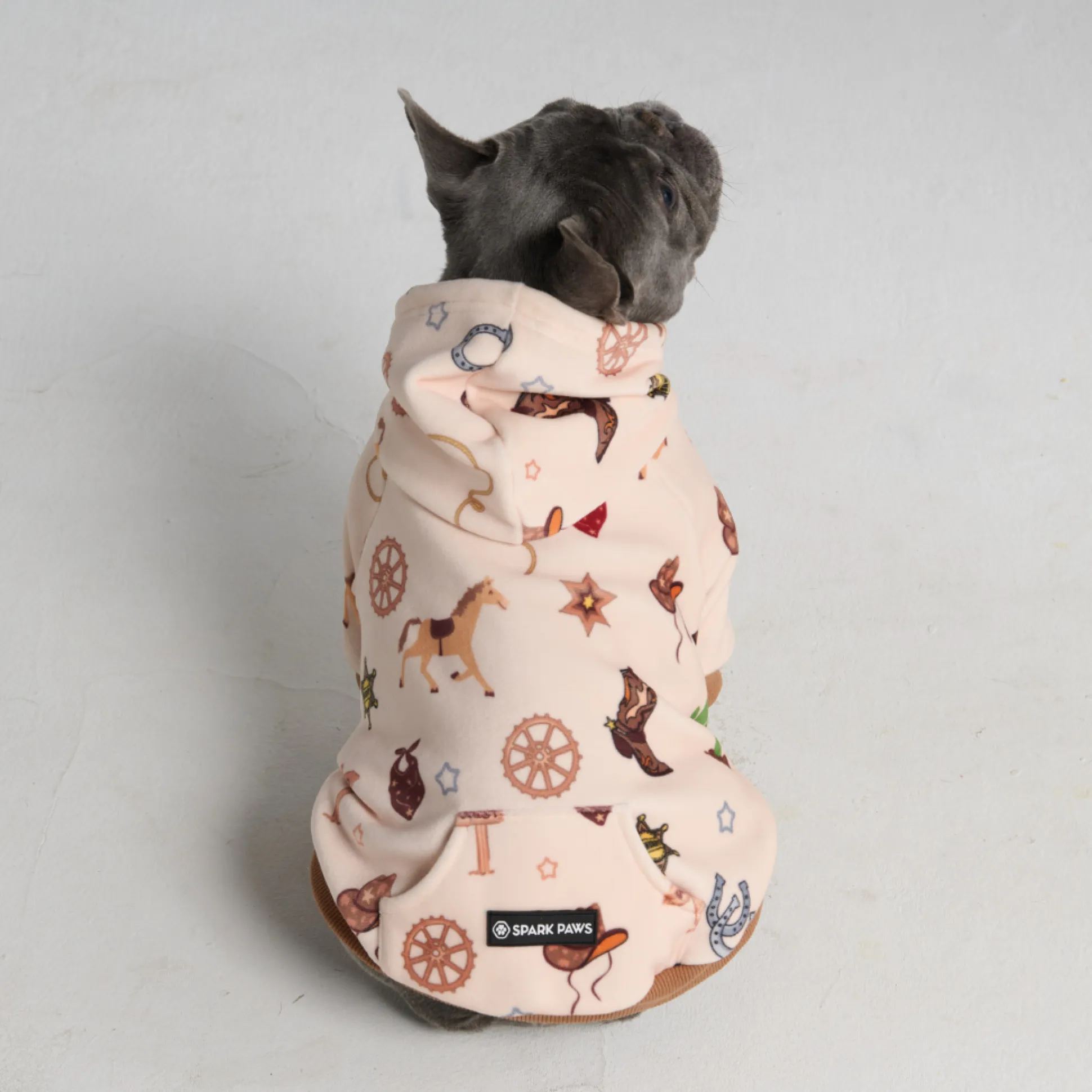 Rodeo Dog Hoodie
