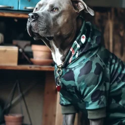 Shark Monster Dog Hoodie - Green Camo