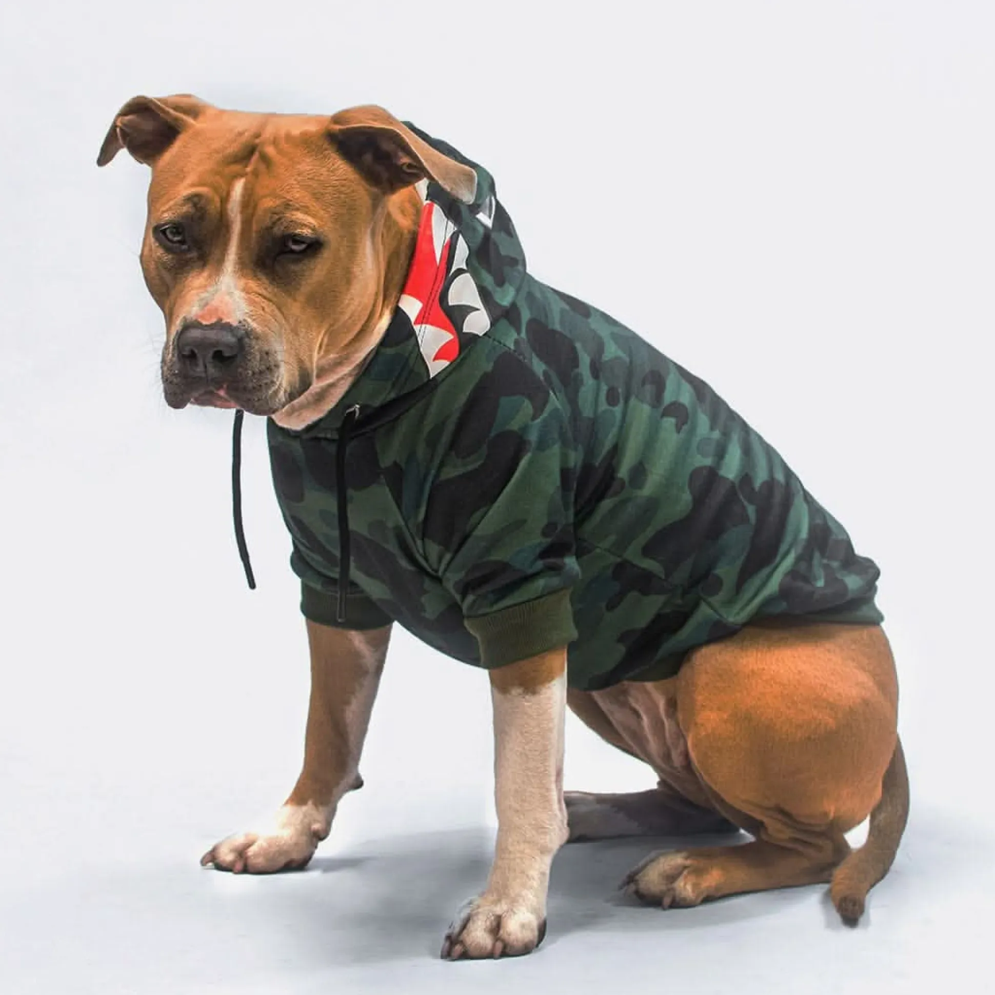 Shark Monster Dog Hoodie - Green Camo