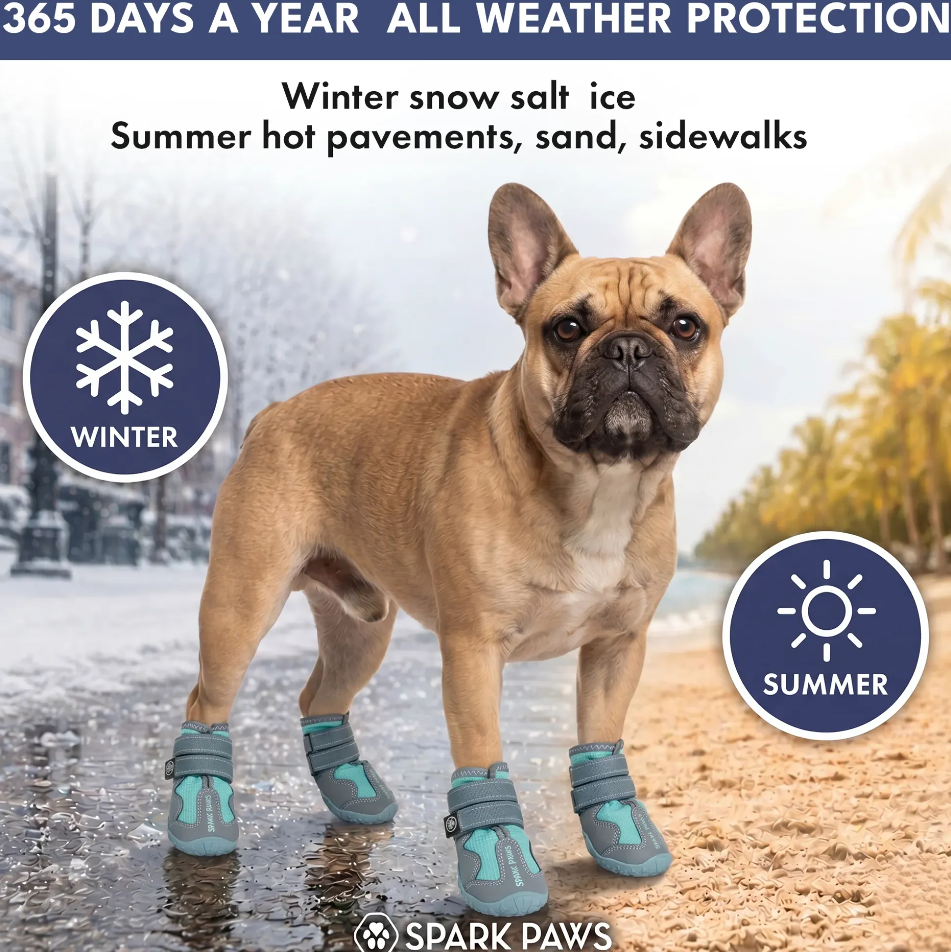 Spark Paws 365 - The All-Season Dog Shoes - Teal