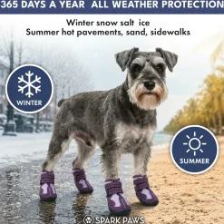Spark Paws 365 - The All-Season Dog Shoes