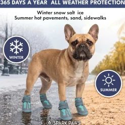 Spark Paws 365 - The All-Season Dog Shoes