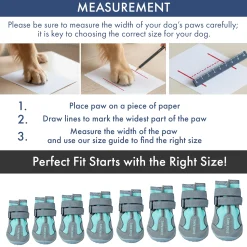 Spark Paws 365 - The All-Season Dog Shoes