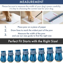 Spark Paws 365 - The All-Season Dog Shoes