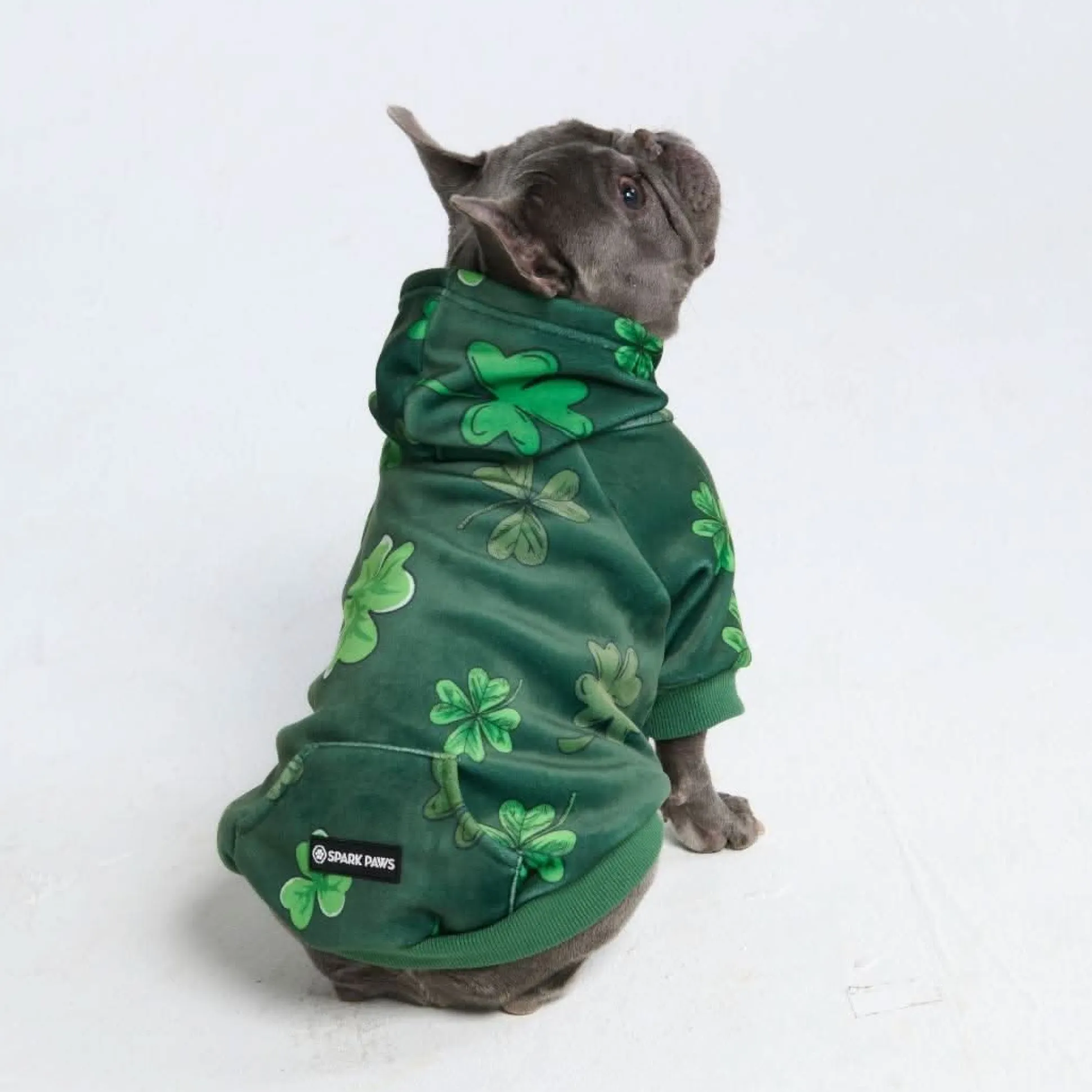 St. Paddy's Dog Hoodie - Dark Green (Limited Edition)