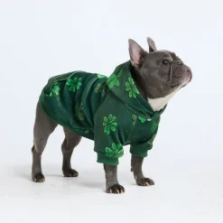St. Paddy's Dog Hoodie - Dark Green (Limited Edition)