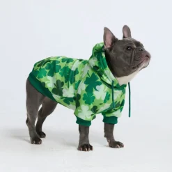 St. Paddy's Dog Hoodie - Shamrocks (Limited Edition)